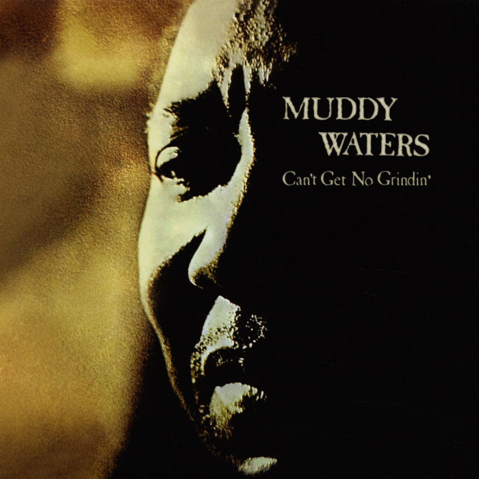 muddy waters - Can