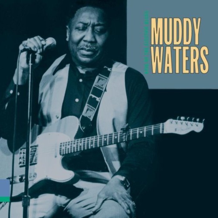 muddy waters - King of the Electric Blues