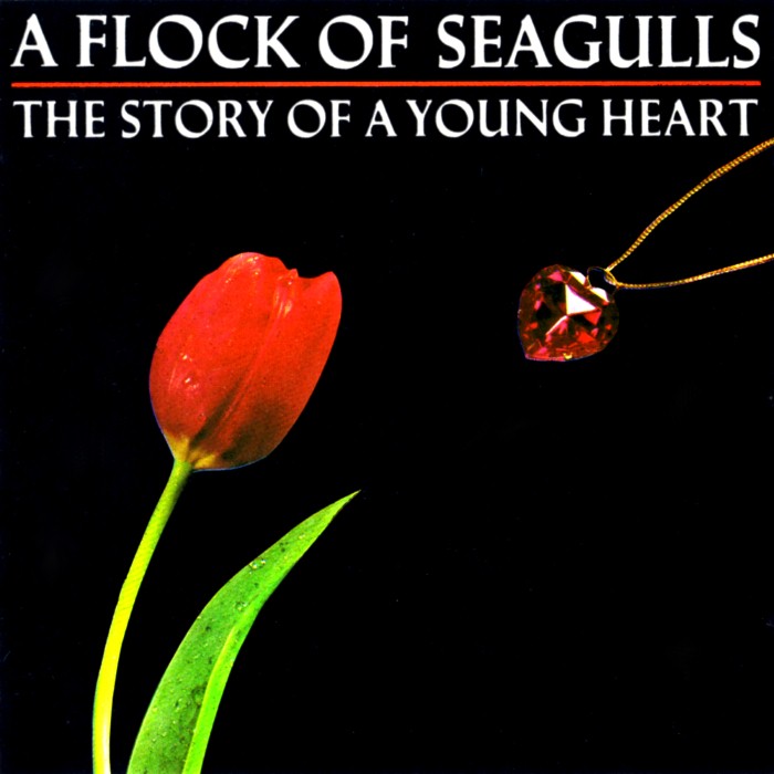 A Flock of Seagulls - The Story of a Young Heart