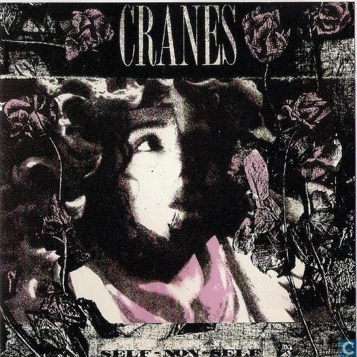 Cranes - Self-Non-Self