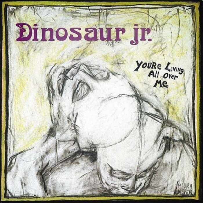 Dinosaur jr - You're Living All Over Me 
