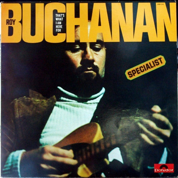 Roy Buchanan - That's What I Am Here For 