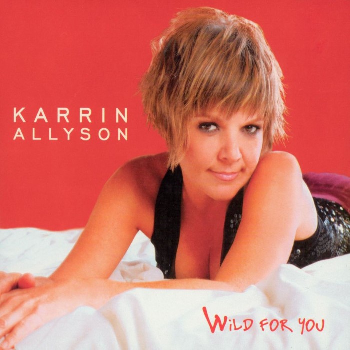 Karrin Allyson - Wild for You
