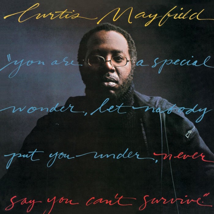 Curtis Mayfield - Never Say You Can
