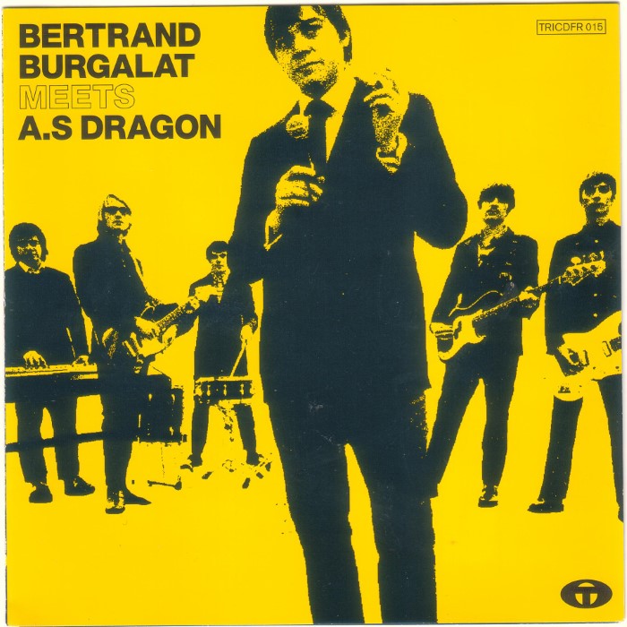 Bertrand Burgalat - Bertrand Burgalat Meets A.S Dragon