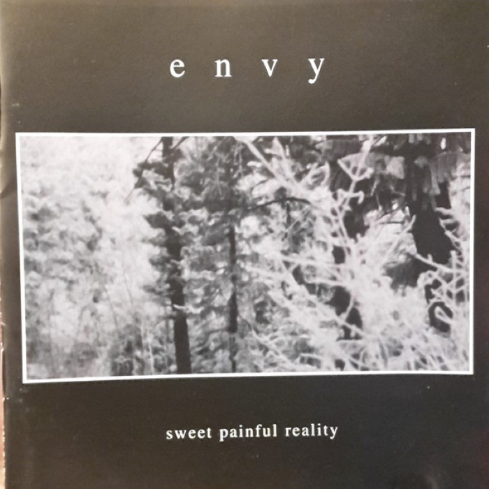 Envy - Sweet Painful Reality