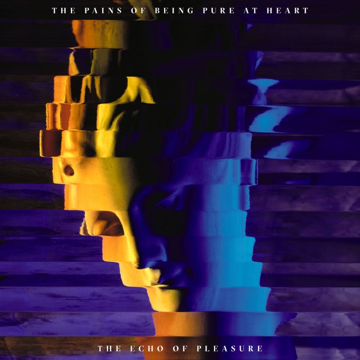 The Pains Of Being Pure At Heart - The Echo of Pleasure